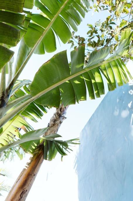 Villa Tortuga Blue House In Banana Plantation Arucas Exterior foto
